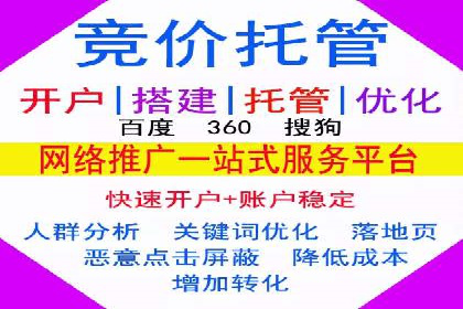 SEM代运营公司成功案例：助力企业快速实现盈利